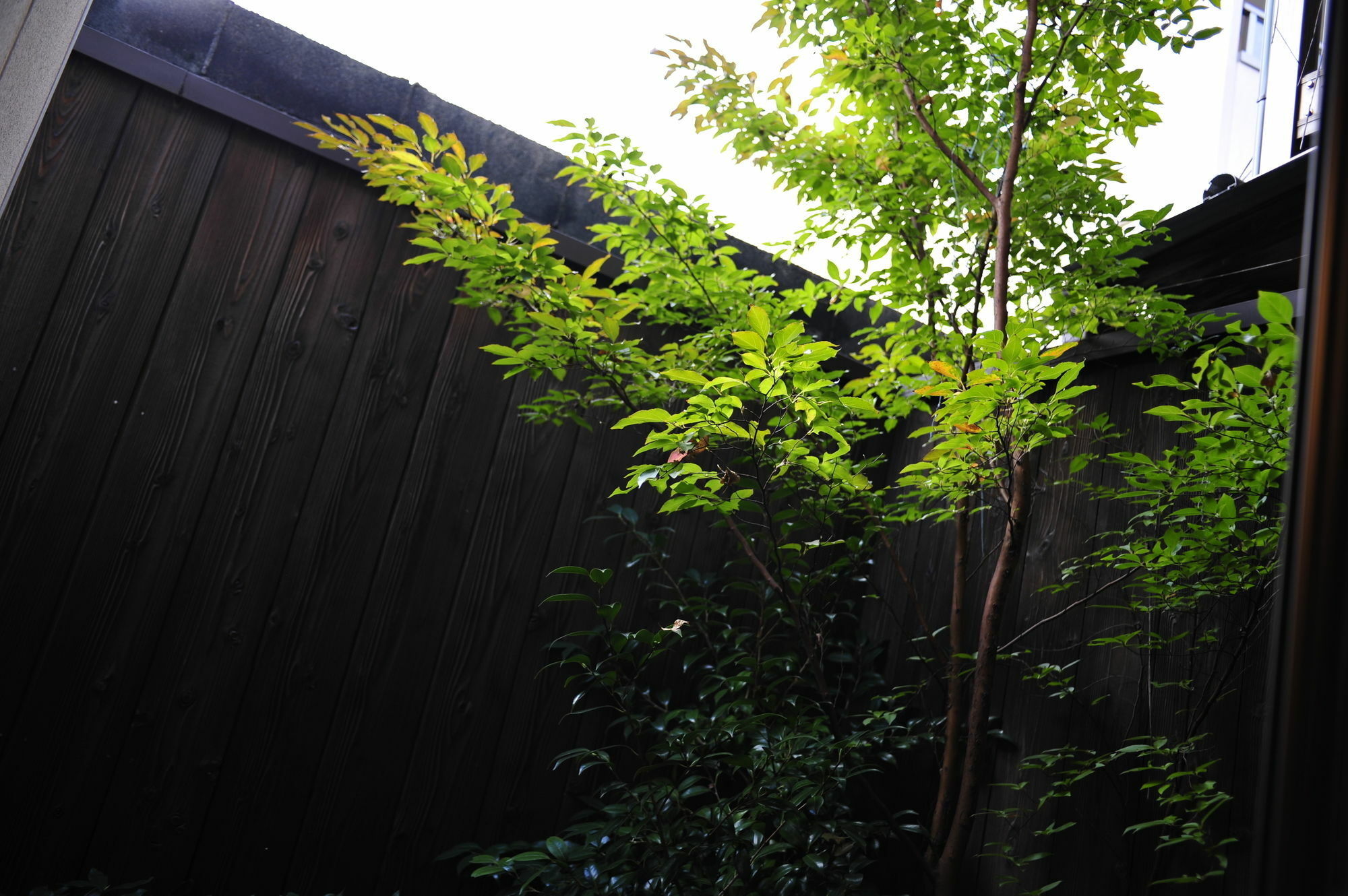 Holiday home Le Machiya Daikokucho